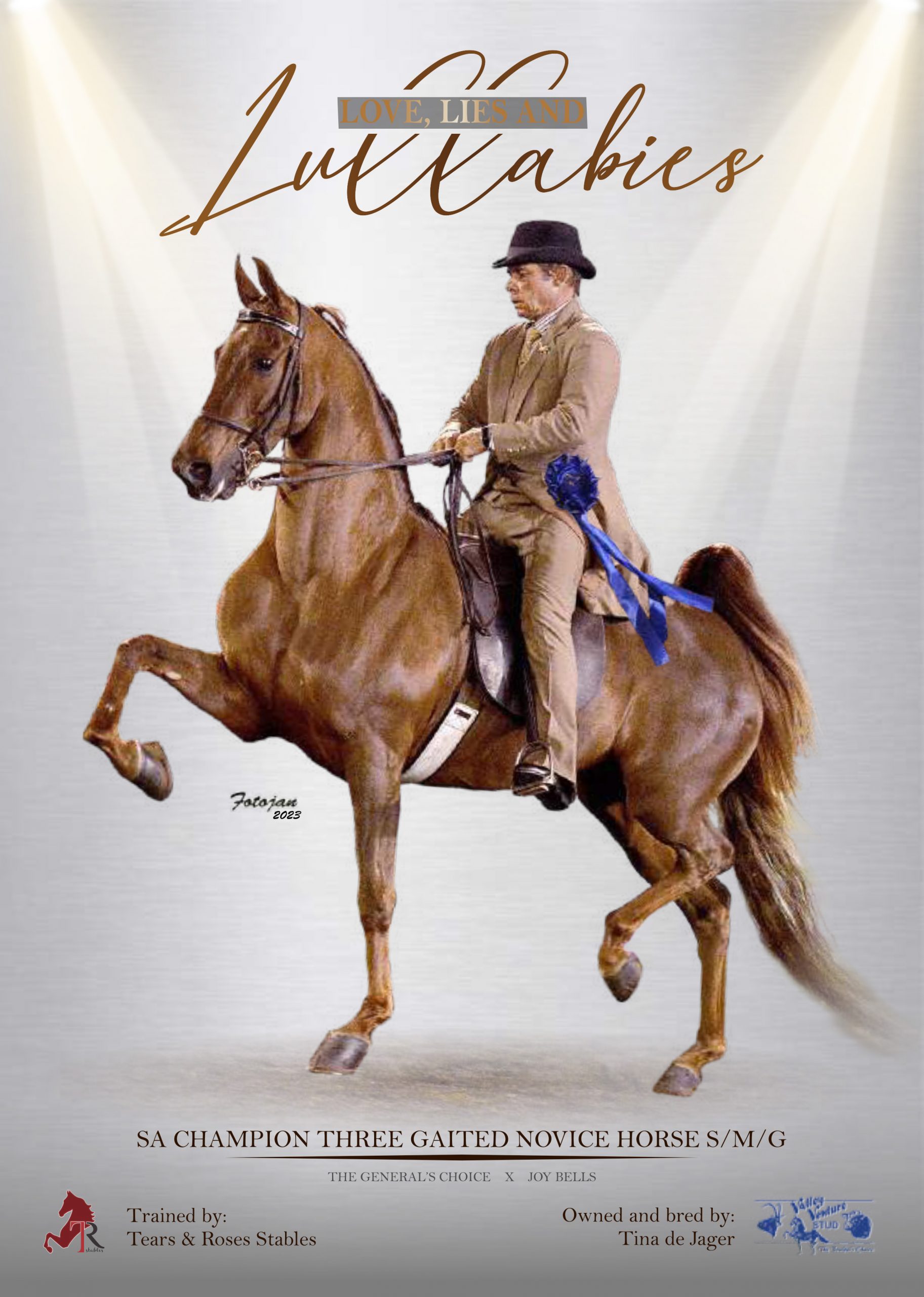 Magazine advert featuring a chestnut American Saddlebred with a young rider