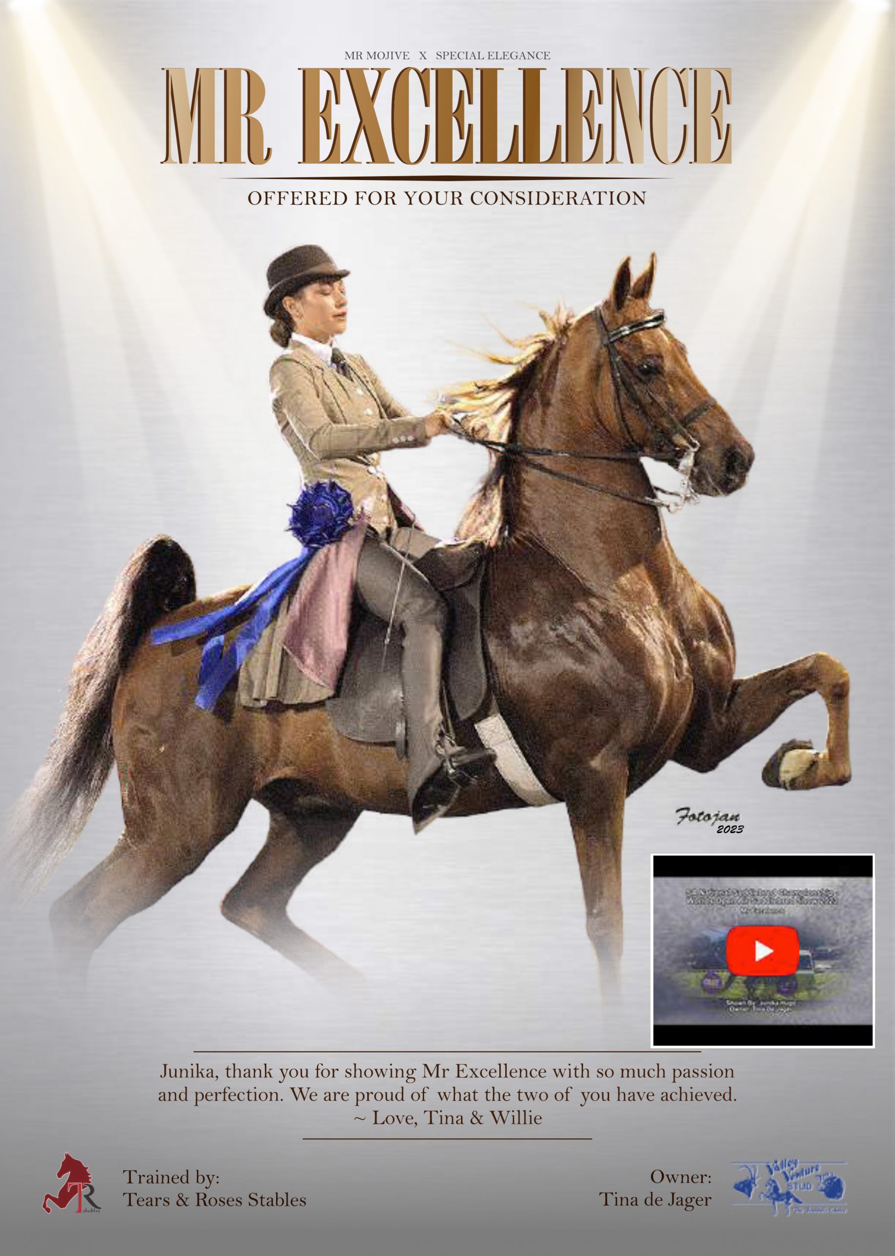 Magazine advert for Mr Excellence, American Saddlebred with rider