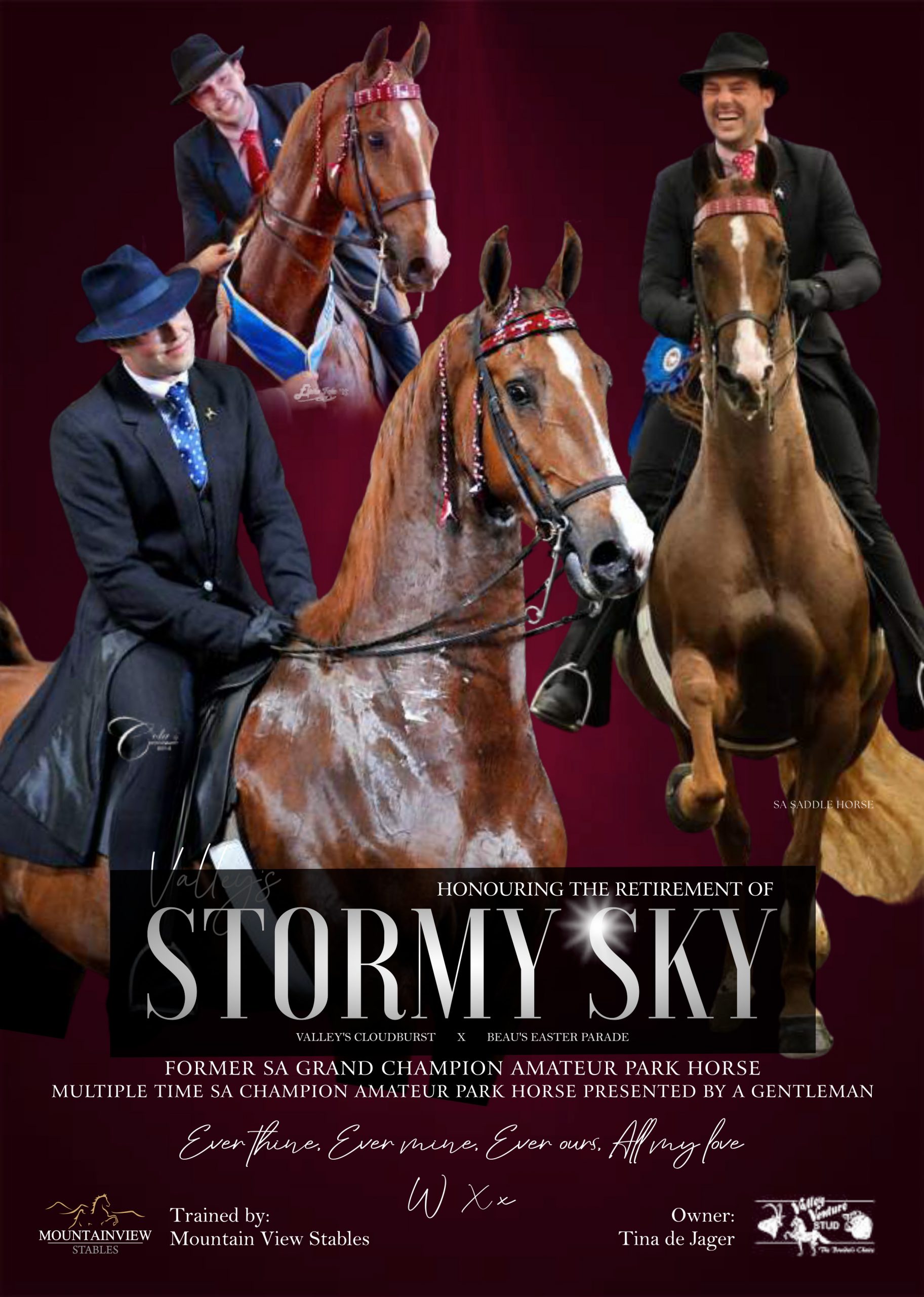 Magazine advert for Stormy Sky with riders and handlers