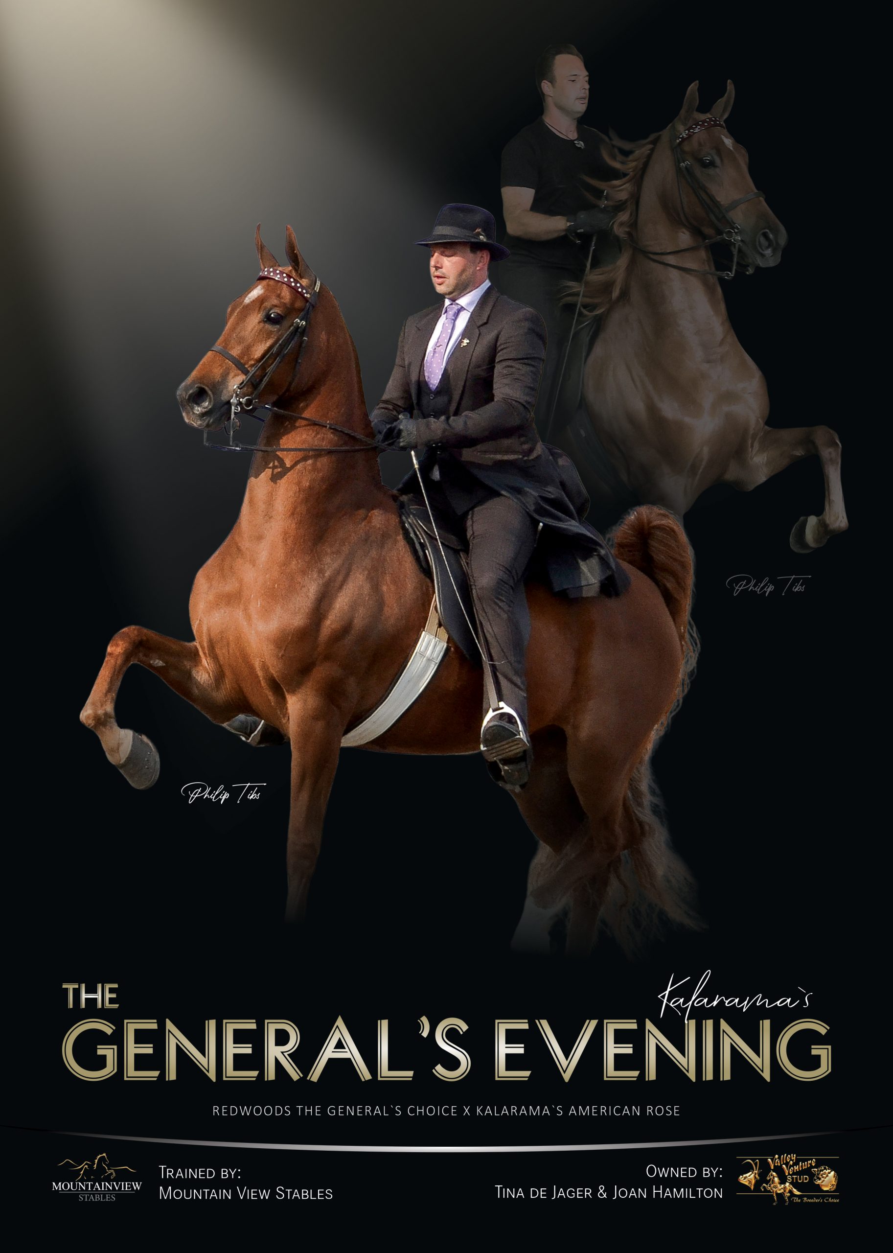 Poster of The General's Evening under saddle