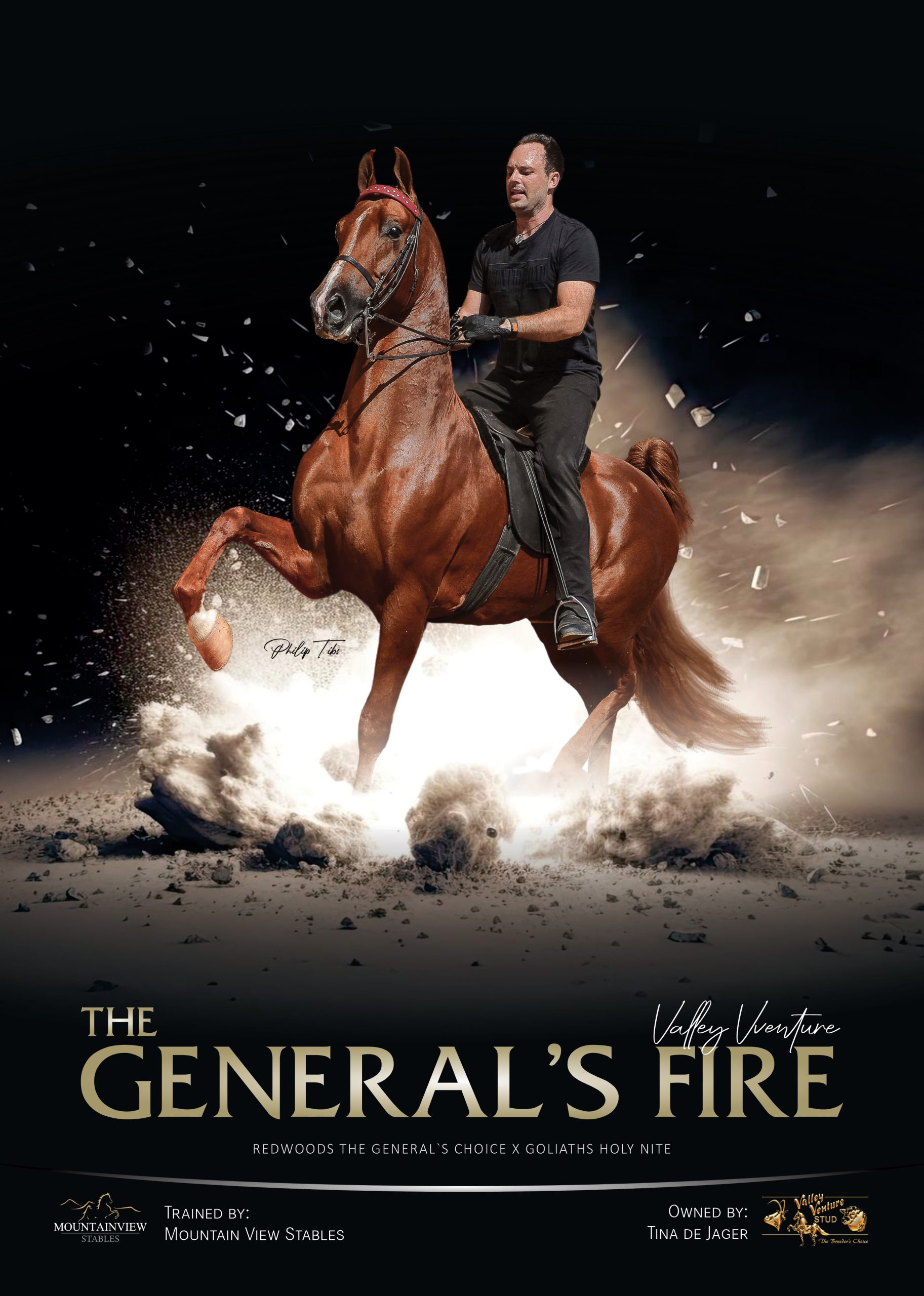 Poster of The General's Fire with rider