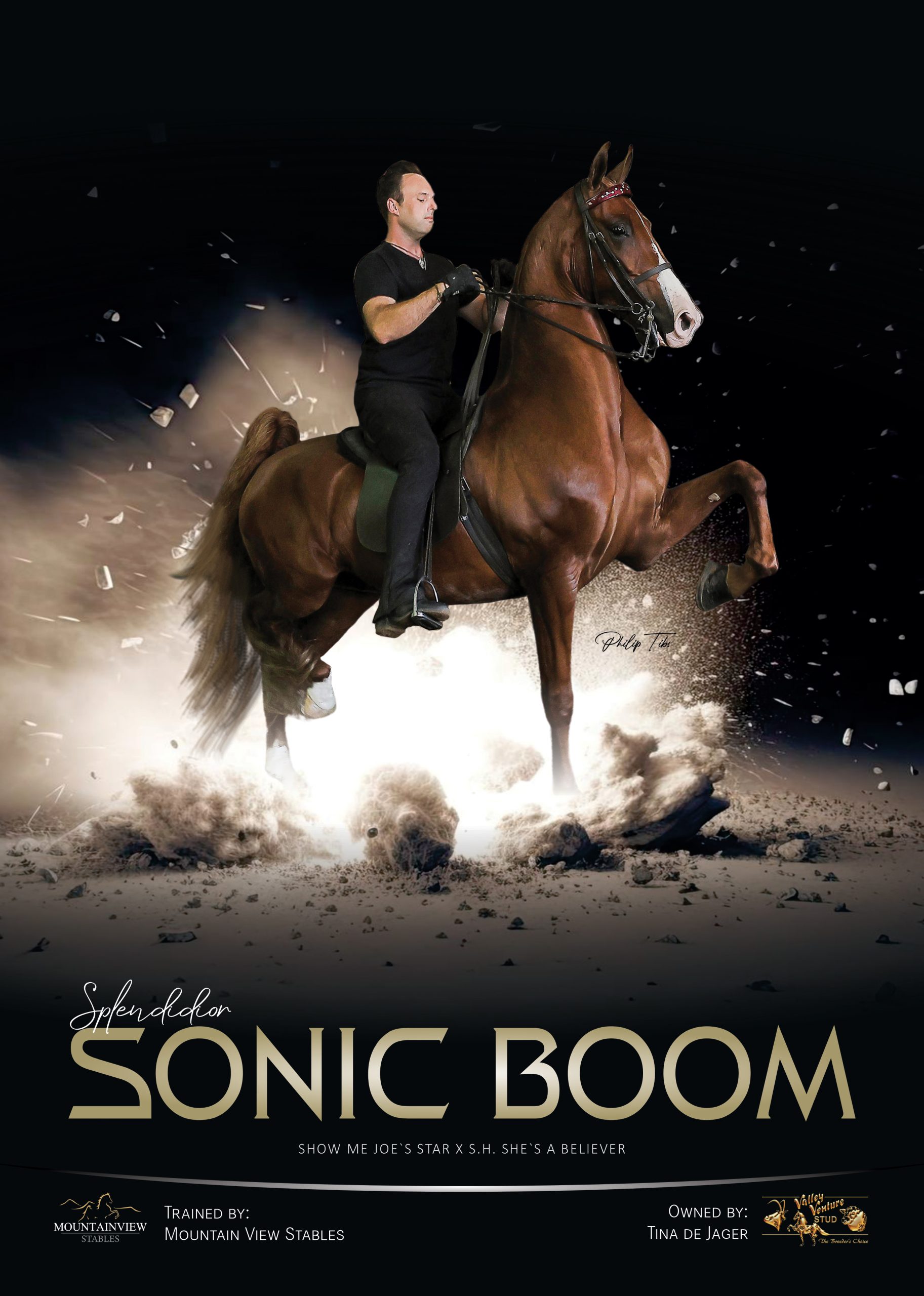 Poster of Sonic Boom, American Saddlebred with rider