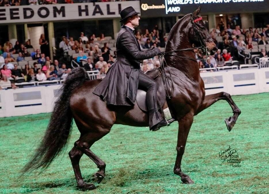 Bruce Almighty & Willie de Jager – Reserve World Champion