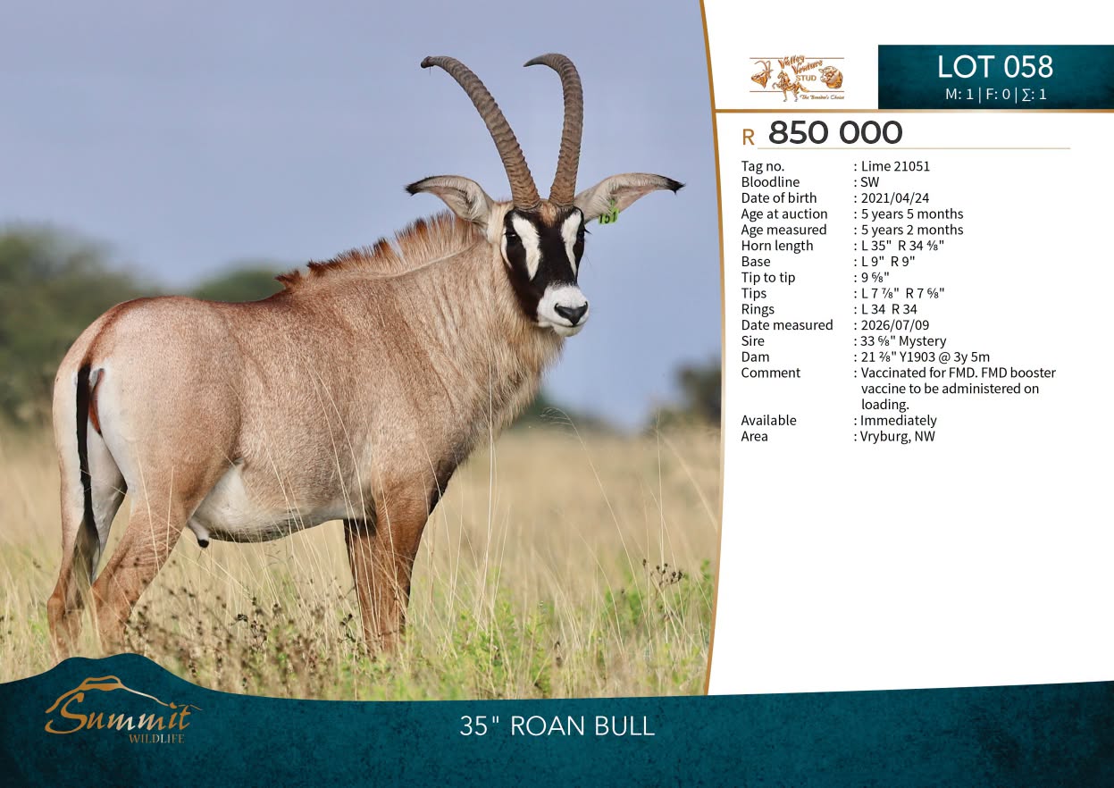 Summit Wildlife lot card for Lot 58: 35″ roan bull from Valley Venture Stud, R850 000