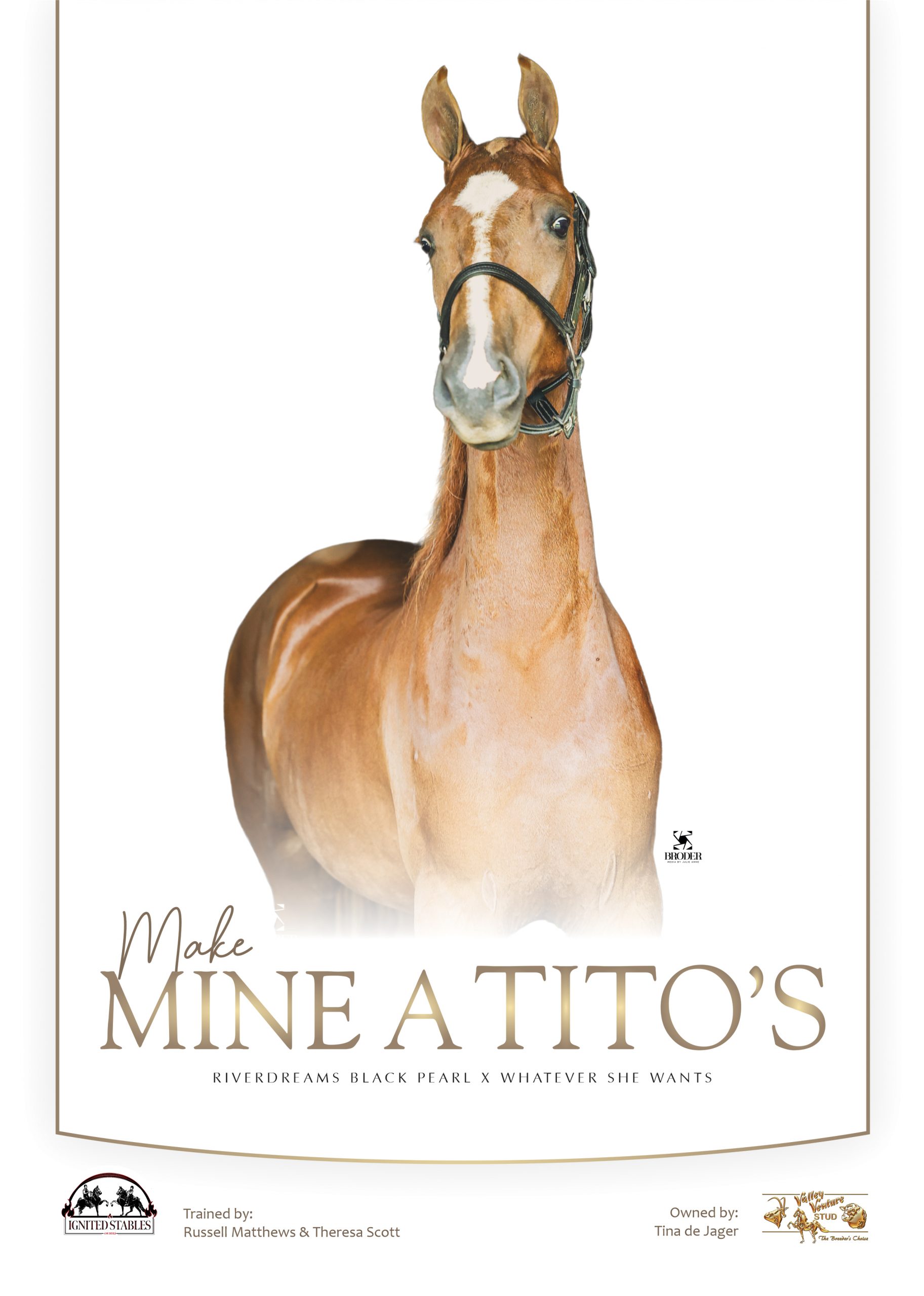 Portrait poster of Make Mine a Tito's, chestnut American Saddlebred