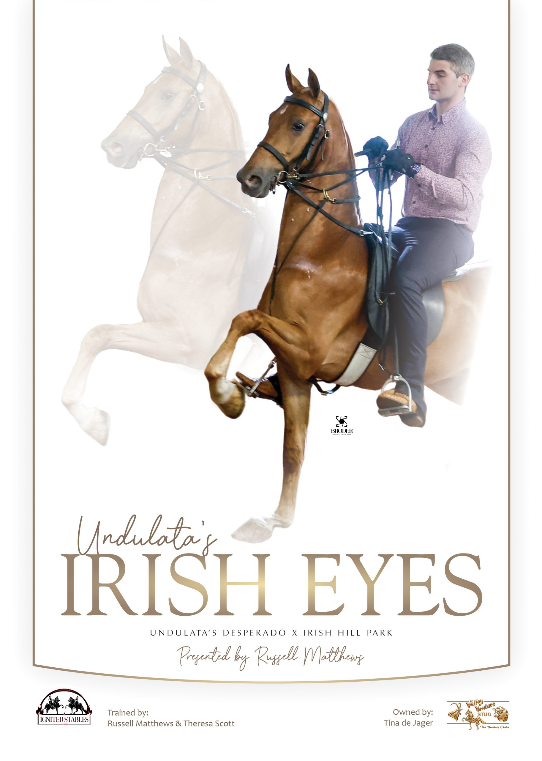 Poster of Irish Eyes, American Saddlebred with rider