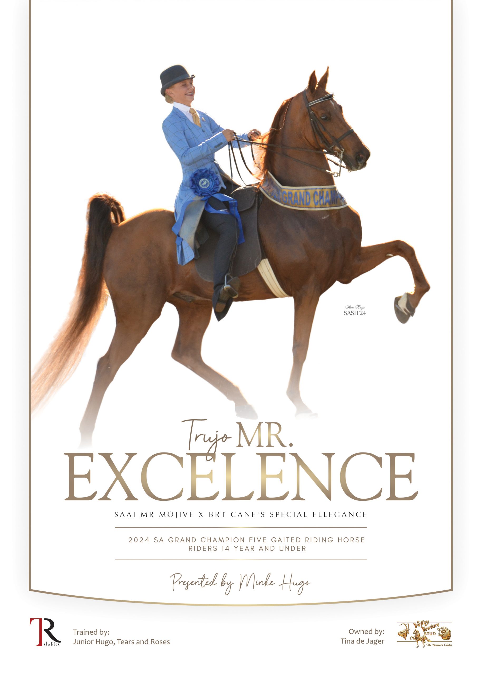 Poster of Mr Excelence, American Saddlebred with rider