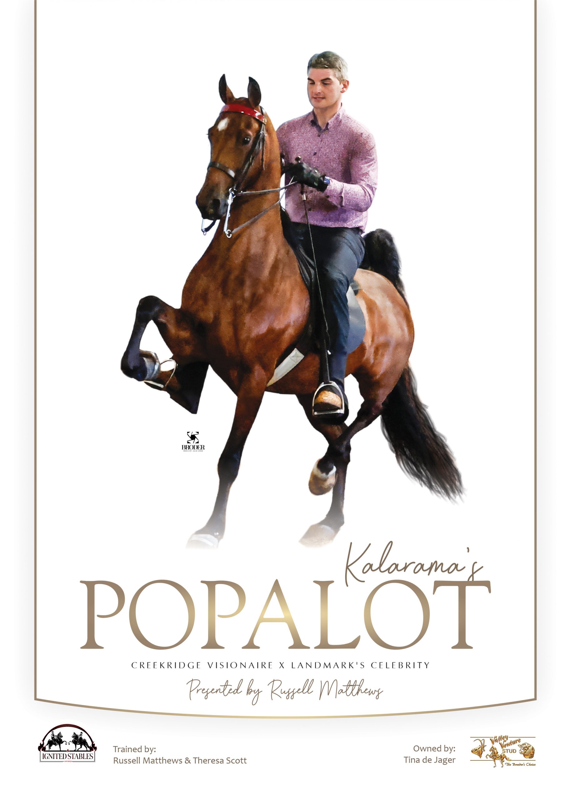 Poster of Popalot, American Saddlebred with rider