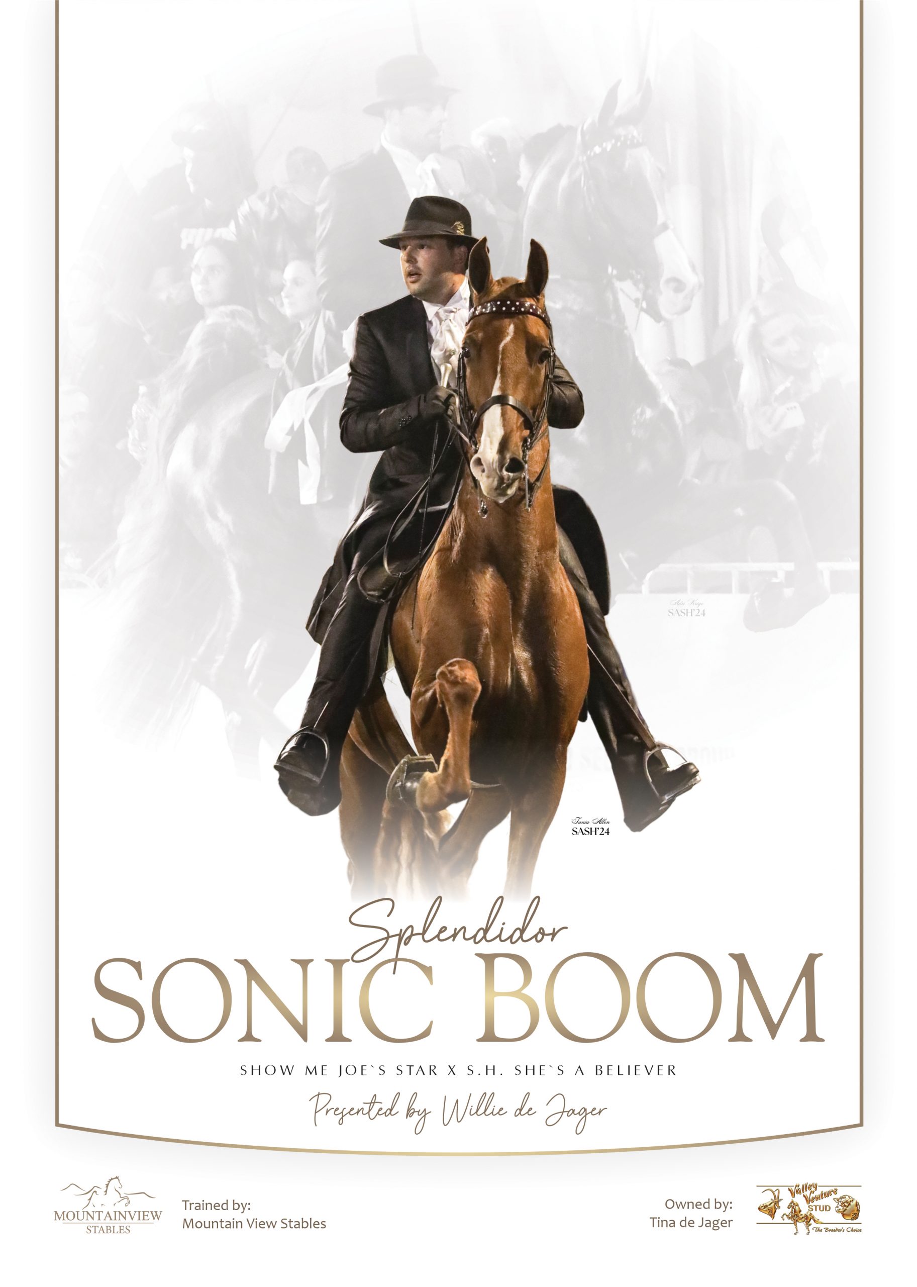 Poster of Sonic Boom, American Saddlebred with rider