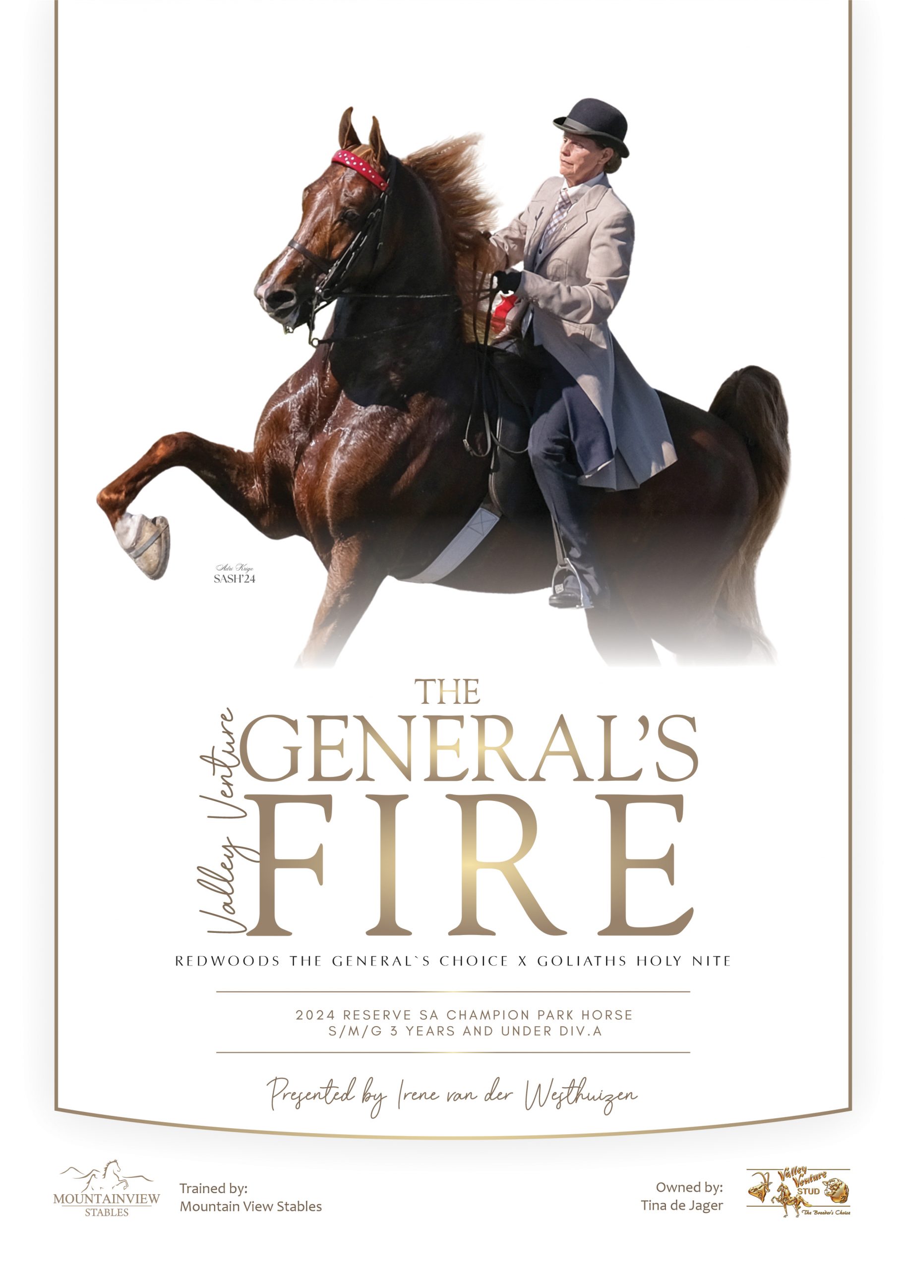 Poster of The General's Fire with rider