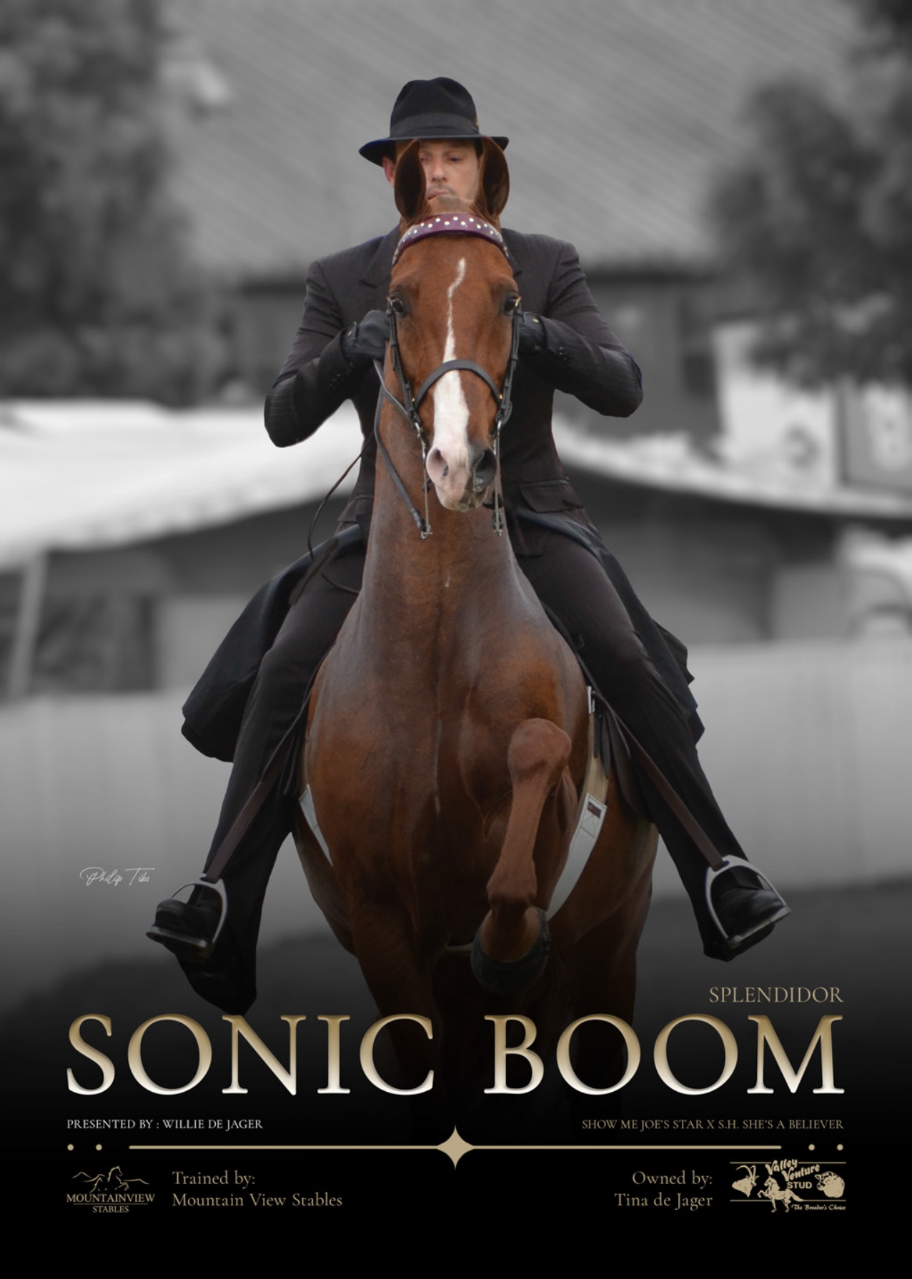 SA Saddle Horse feature page on Sonic Boom