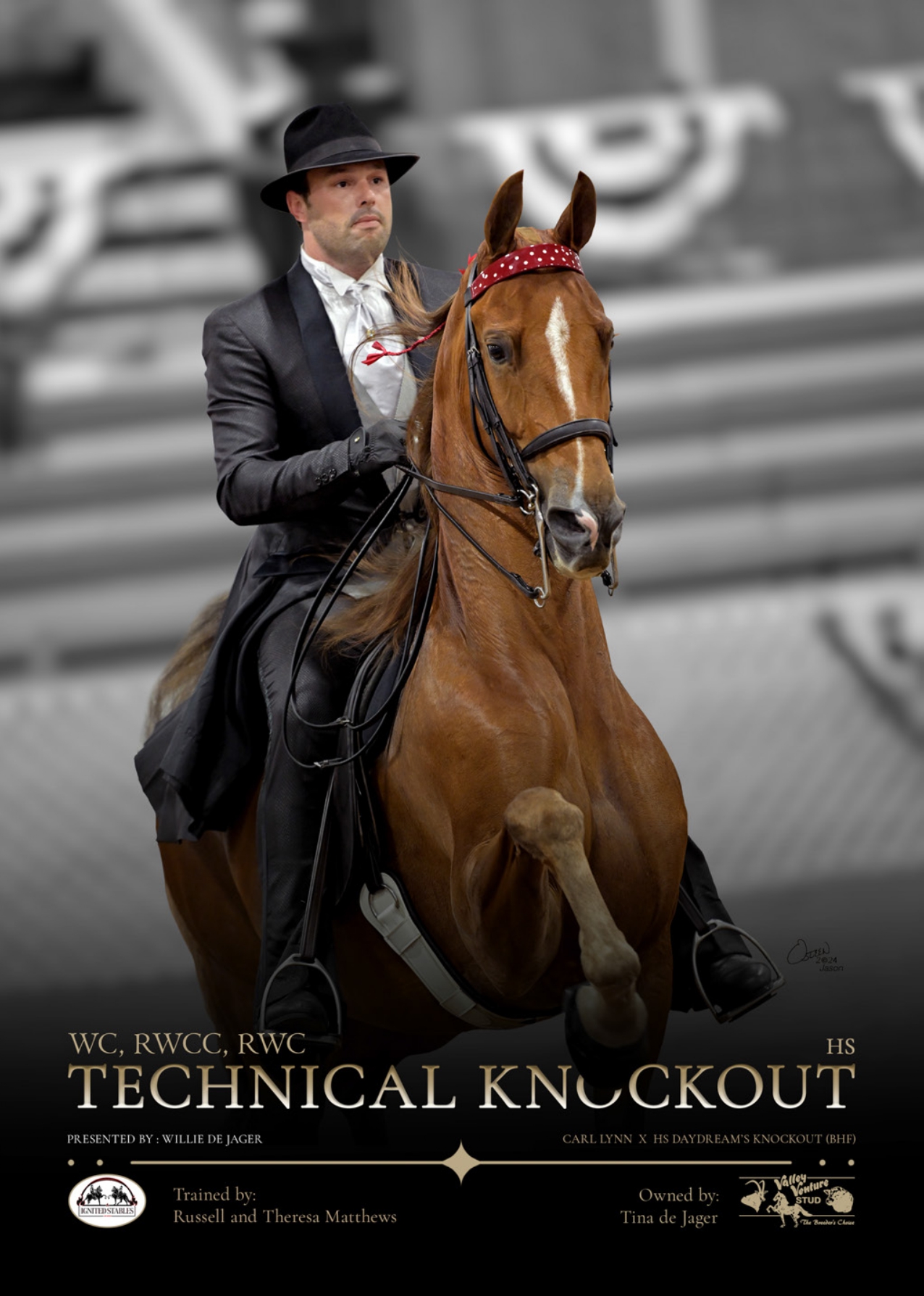 SA Saddle Horse feature page on Technical Knockout