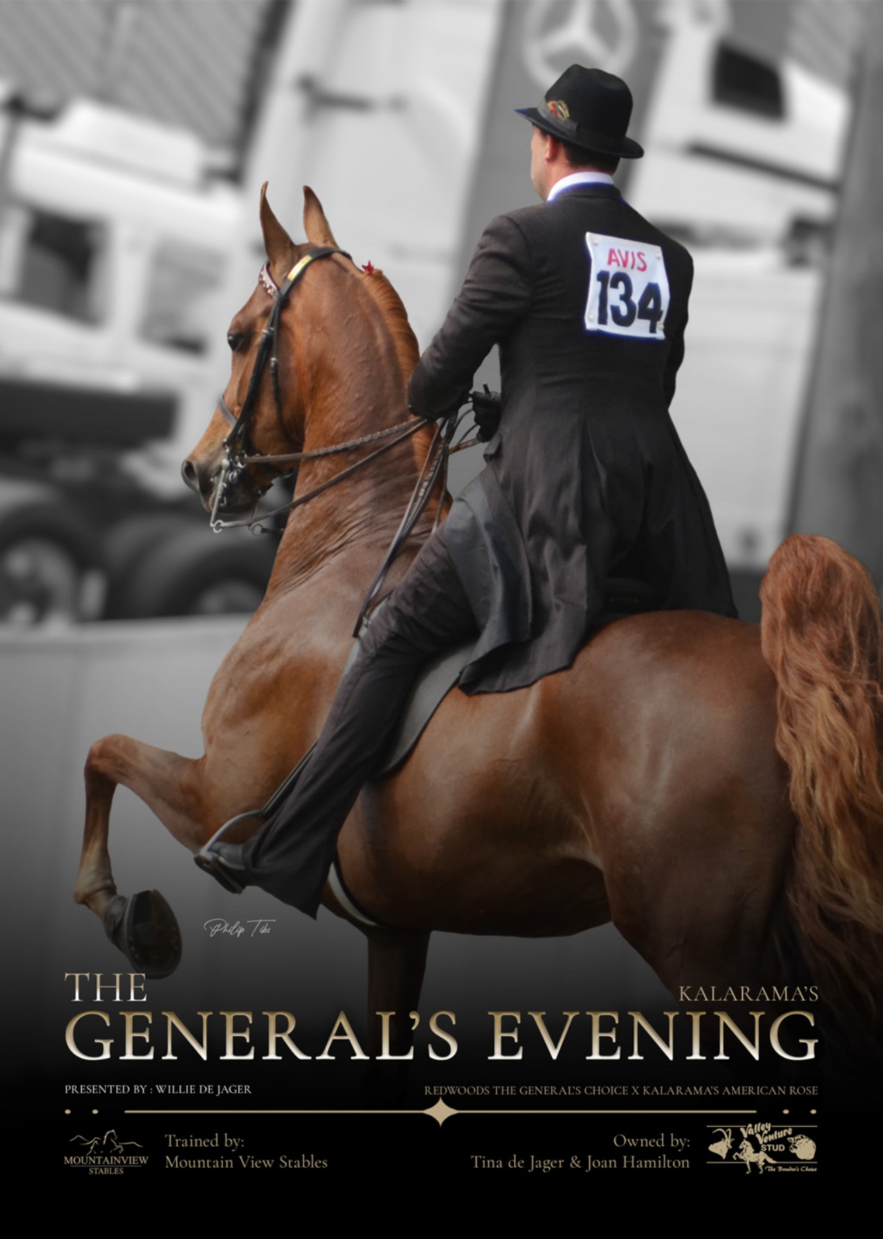 SA Saddle Horse feature page on The General's Evening