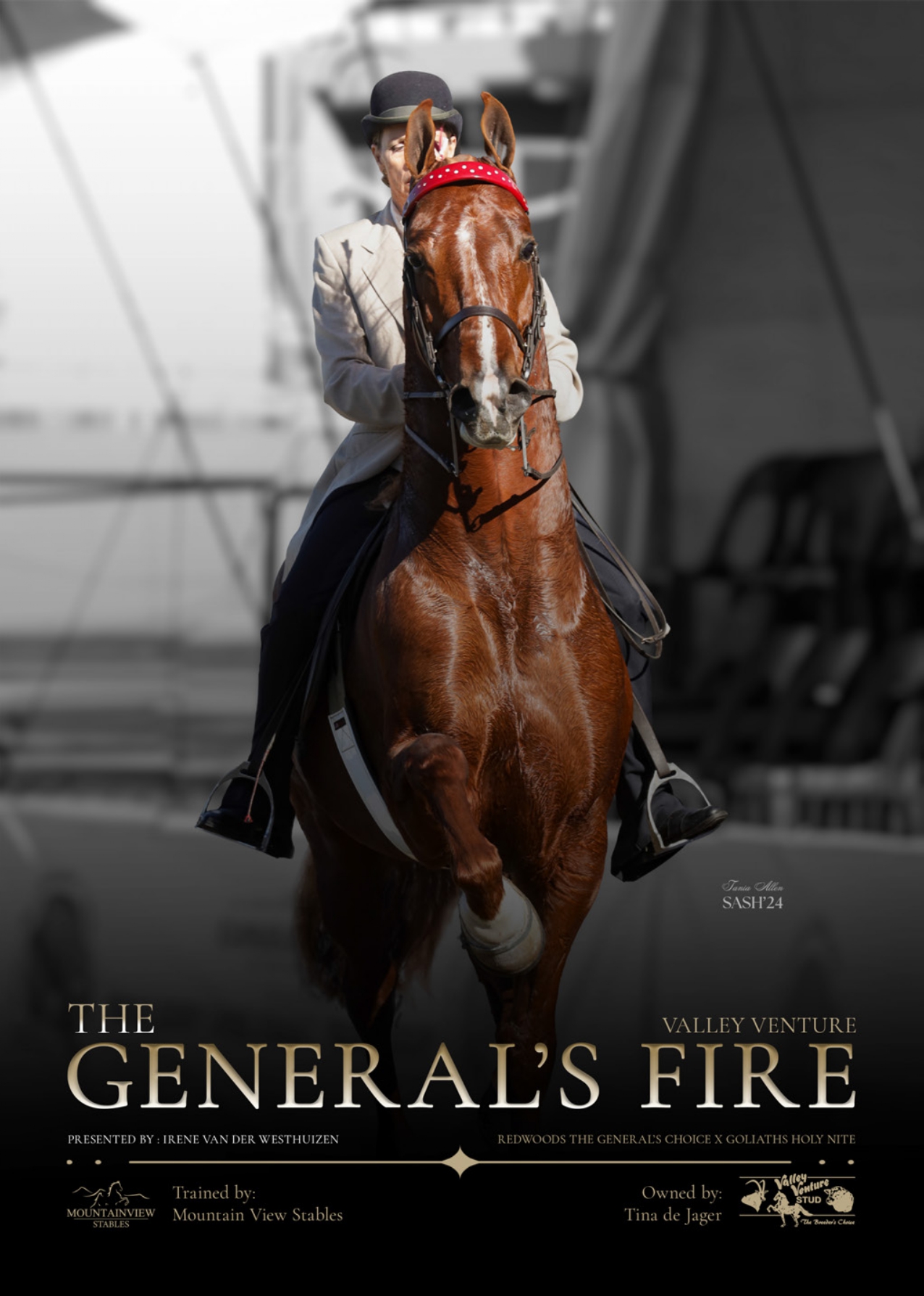 SA Saddle Horse feature page on The General's Fire
