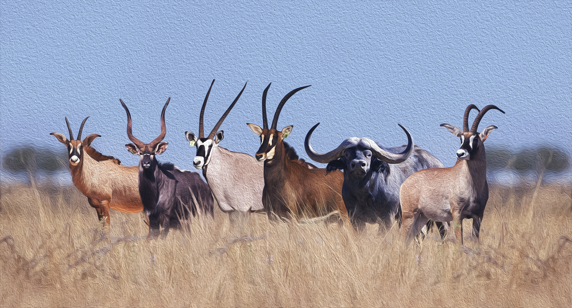 Sable, roan, nyala, oryx and buffalo lined up in golden grassland under a blue sky